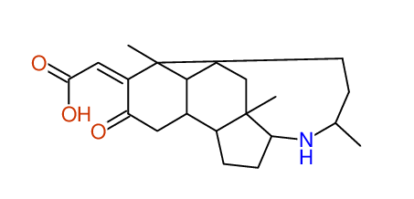 Proposal