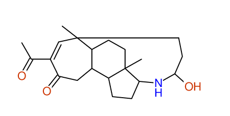 Proposal