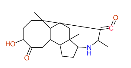 Proposal