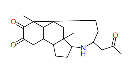 Proposal