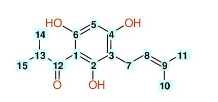 Structural diagram